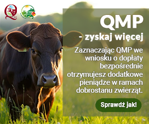 Ekoschemat „Dobrostan zwierząt” Dodatkowe pieniądze dla hodowców bydła z QMP – tylko do 16 czerwca!