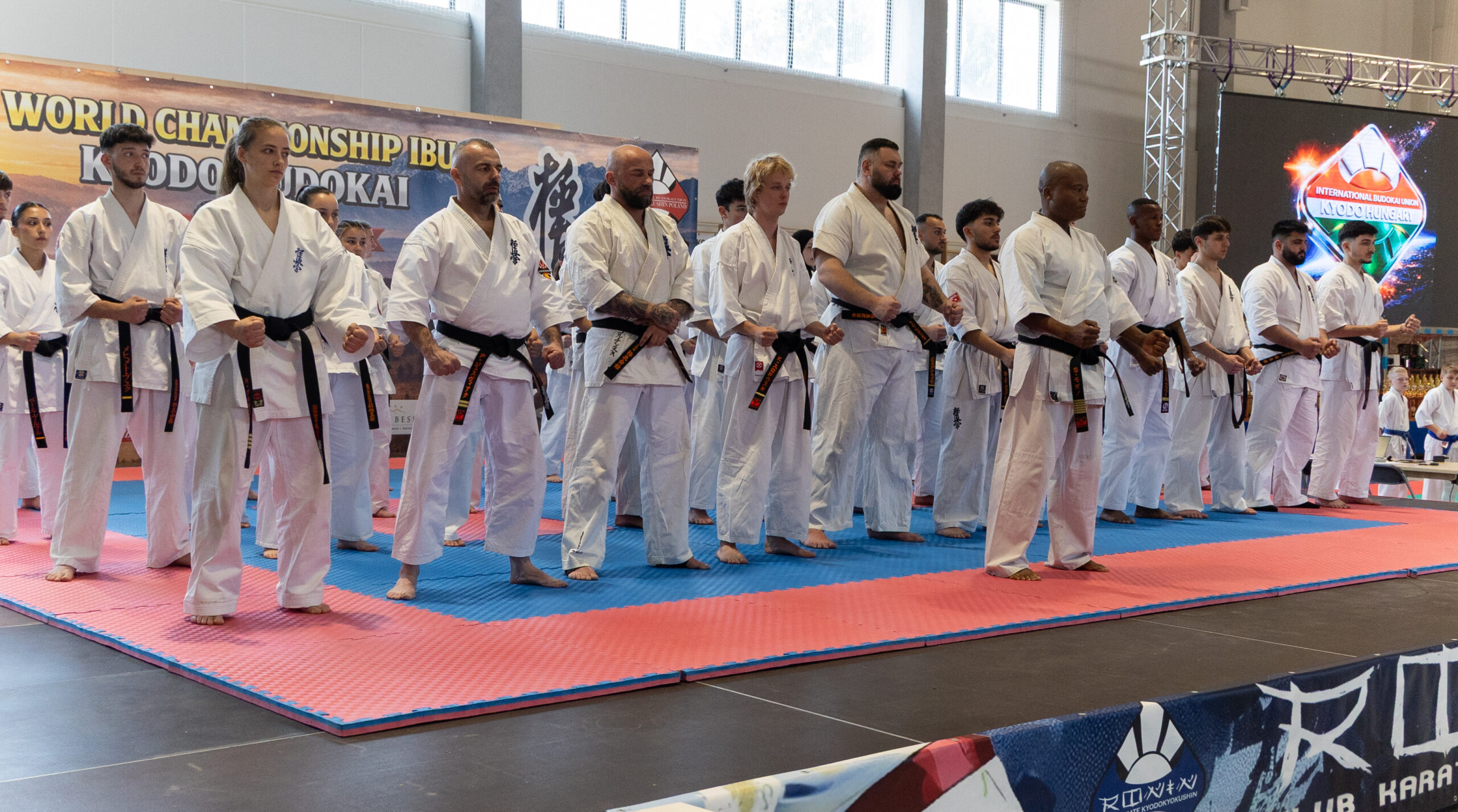 Gratulacje z różnych stron świata