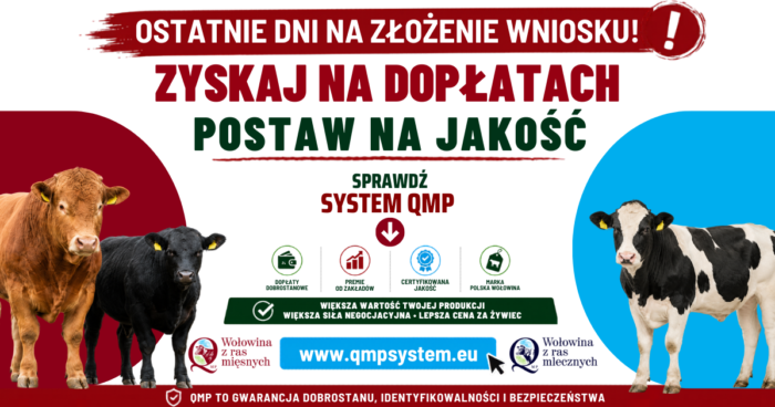 Kampania QMP 2026